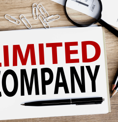 What Is a Limited Company?